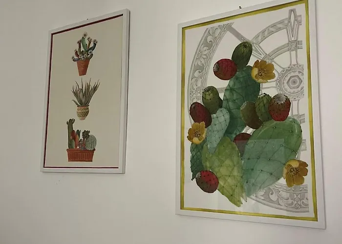 Colibri 4* シャッカ