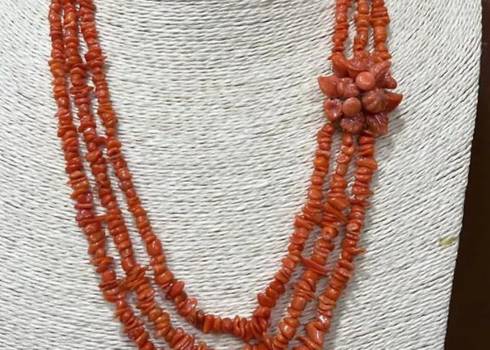 ベッド・アンド・ブレックファスト Colibri シャッカ