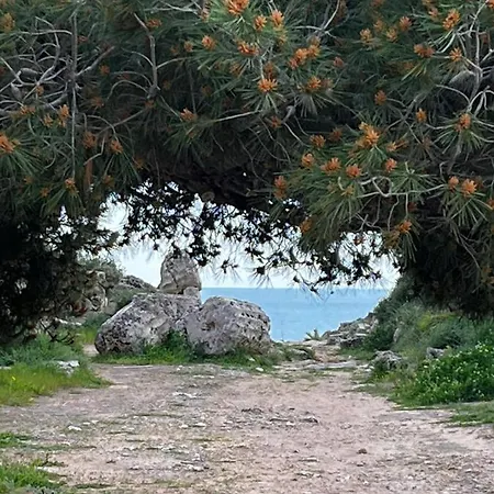 Bed & Breakfast Colibri *