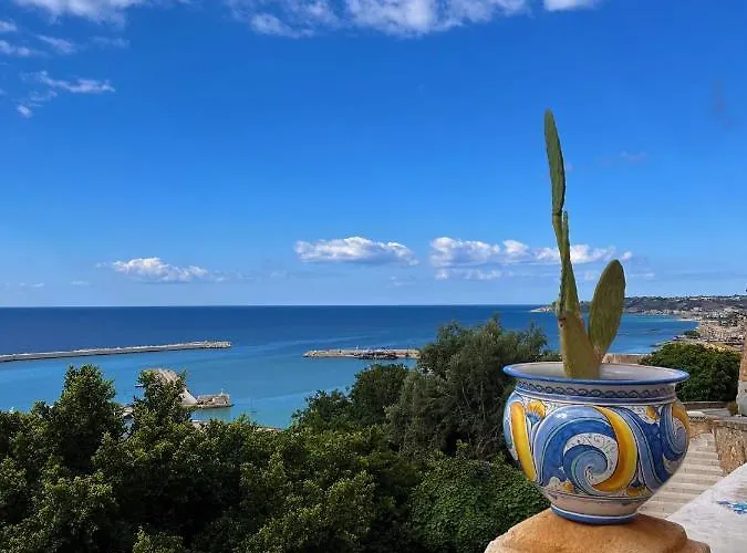 Bed & Breakfast Colibri