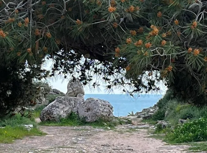 Bed & Breakfast Colibri 4*